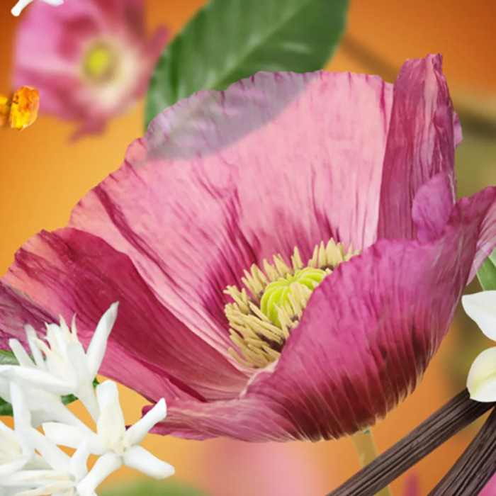 Картридж для дифузора для автівки Maison Berger Paris з ароматом VELVET OF ORIENT