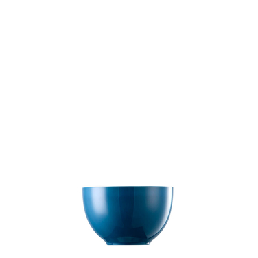 Пиала 0,45 л темно-бирюзовая Sunny Day Petrol Thomas