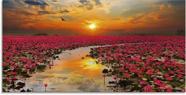 Настінний декор зі скла, картини, настінна картина, скляна картина цільна 40x40 см, квадрат, пляж, море, сонце, Кариби, природа, пейзаж, узбережжя, схід сонця, морський, S7LE (квіти лотоса, 100Д x 50Ш см)