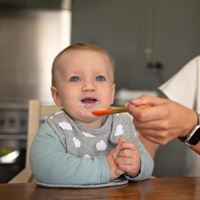 Набір із 5 слюнявчики для дітей Budding Bear