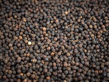 Попередньо встановлених помелів - Виготовлений з деревини, сертифікованої PEFC - Французьке ноу-хау - (Млин для перцю Peugeot Paris, Natural), 40