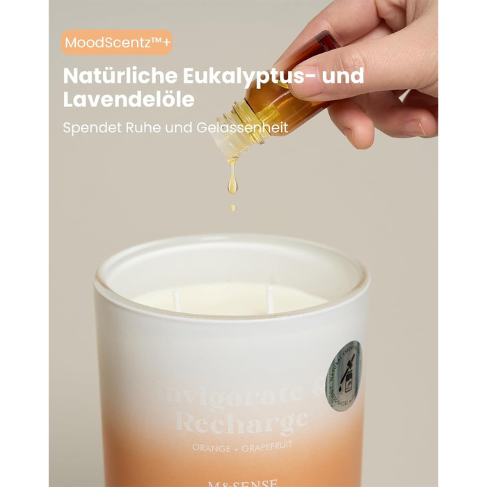 Ароматичні свічки M&SENSE Сосна та кедр у банці, велика соєва свічка 400 г з двома гнітами, час горіння 80 годин, ароматерапевтична свічка для йоги, спа та медитації. Подарунок для дівчини, дружини або матері. Сосна та кедр (апельсин та грейпфрут)