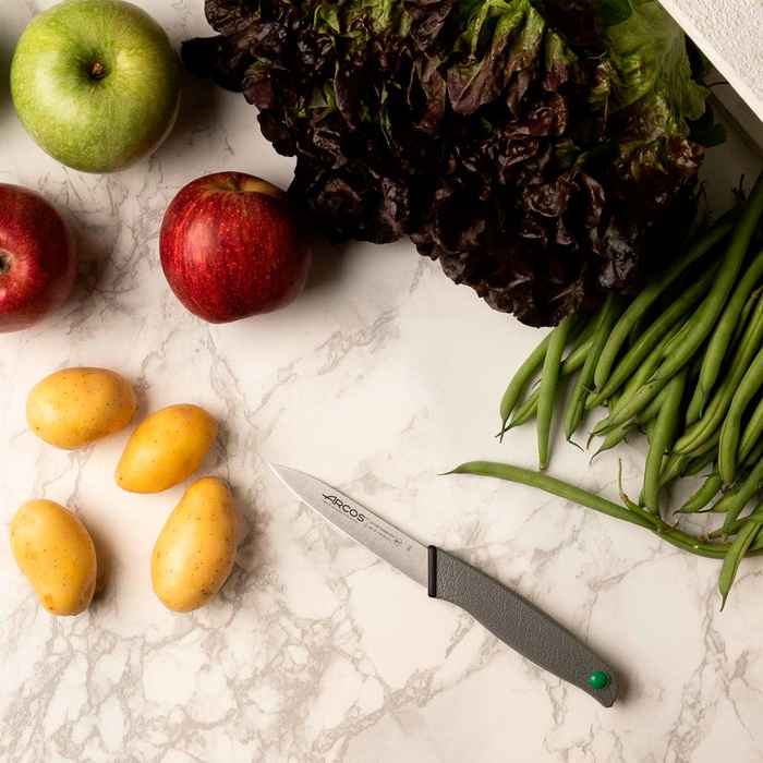 241300 Ніж для чищення 100 мм серія 'Сolour-prof'