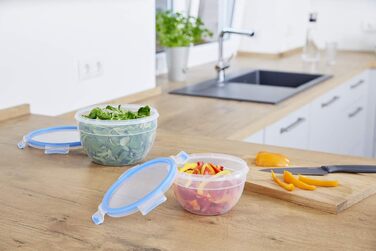 Набір контейнерів для зберігання продуктів EMSA Clip & Close, прямокутні, 5 контейнерів для зберігання по 0,8 л, 100 герметичні, придатні для миття в посудомийній машині, морозильної камери та мікрохвильової печі, прозорі, сині, зроблені в Німеччині, N103