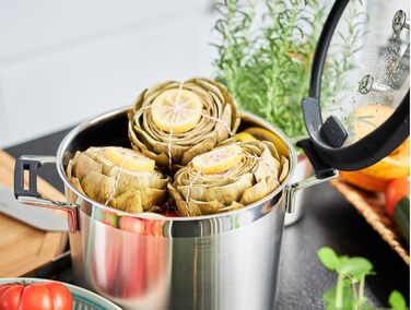 Каструля для овочів та супу, 24 см з кришкою Silence Pro Rosle