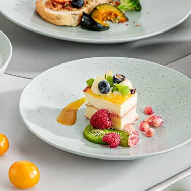 Столовий сервіз з керамограніту, ванкассо 32 предмети Карстовий комбінований сервіз з фаянсу, набір посуду у вінтажному вигляді для 4-12 осіб (Sabine-lg, посуд для 4 осіб)