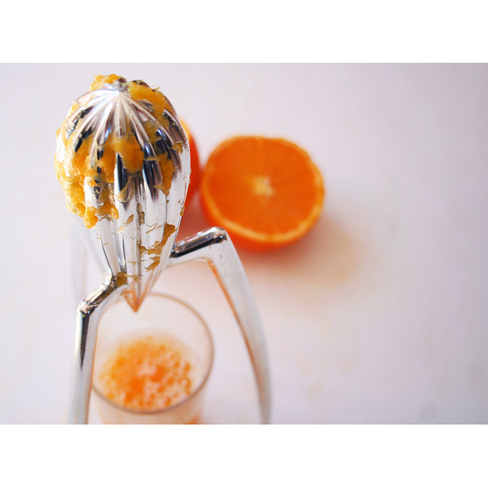 Соковижималка 14x29 см металік Juicy Salif Alessi