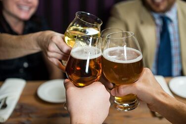 Набір келихів для пива Luigi Bormioli Birrateque, для індійських світлих елів, 2 шт.