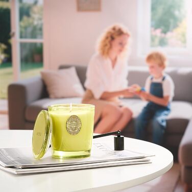 Ароматна свічка M&SENSE Forest Cabin, Ароматизовані свічки у склянці, Натуральна соєва свічка, Час горіння 55 годин, Подарункові свічки для жінок та чоловіків, Подарункова свічка (Сіетлський тропічний ліс, 560 г)