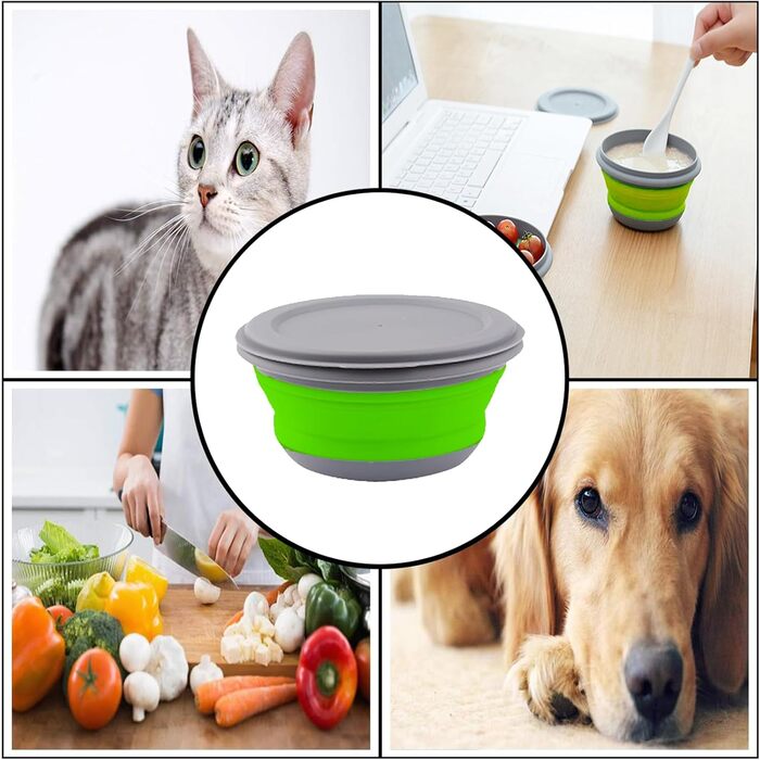 Набір із 3 складних мисок CTForest