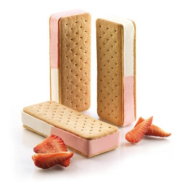 BISC03 Форма из резины