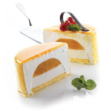 TOR100 H50/1 Форма из резины