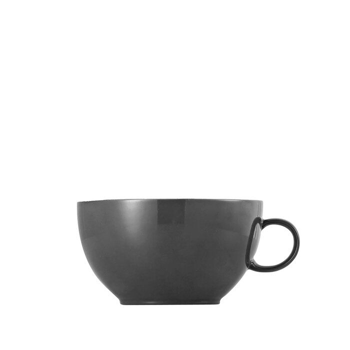 Чашка для капучино 380 мл, сіра Sunny Day Grey Thomas