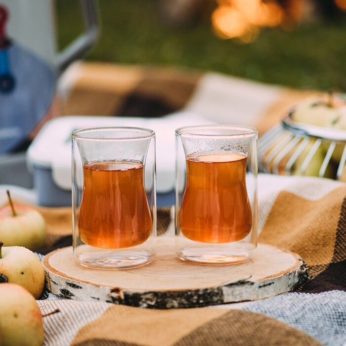 Набір з двух склянок Fissman IRISH 200 мл з подвійними стінками (6444)