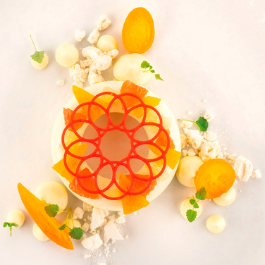 CORONA Форма из резины