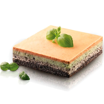 TOR180x180 H50/1 Форма из резины