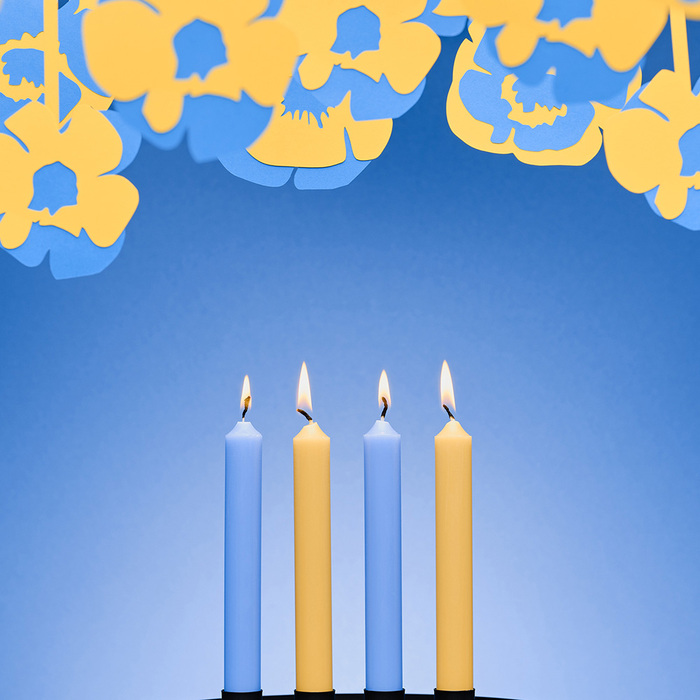 Набор прямых свечей Bougies La Française, желтые, 20 х 2,2 см, 65 г, 12 шт.