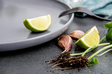 Тарілки для сніданку/десертні на 6 персон, 6 тарілок 20 см Konsimo