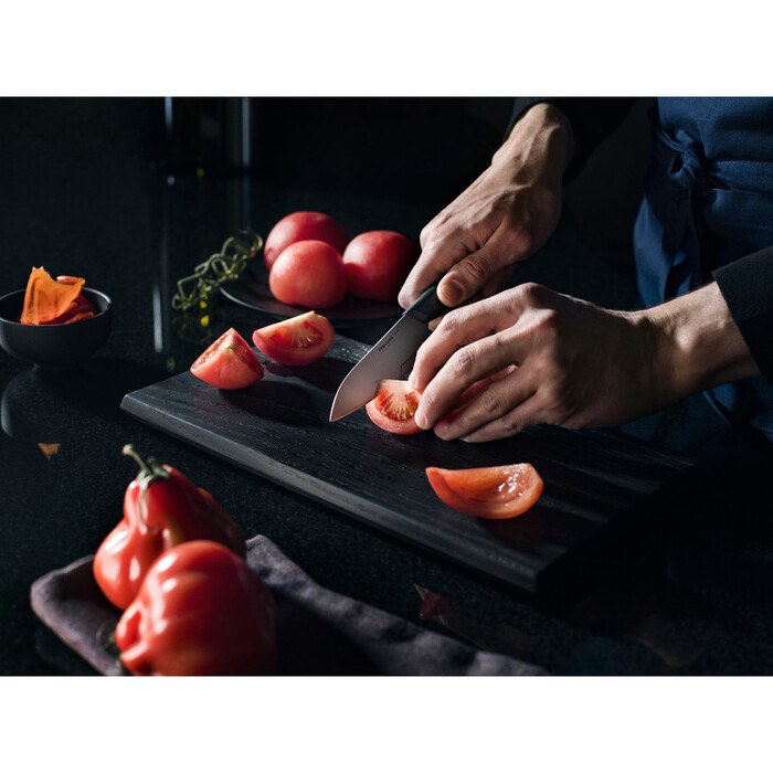 Ніж для овочів Fiskars Taiten 10 см (1066833)