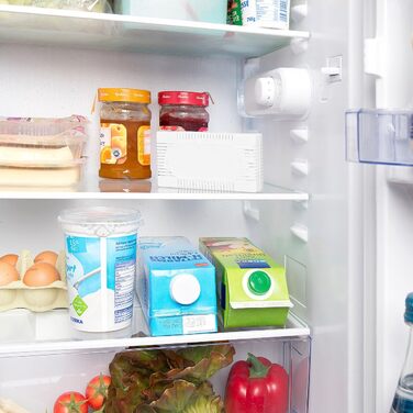 Набір нейтралізатор запахів для холодильника 8 шт PEARL