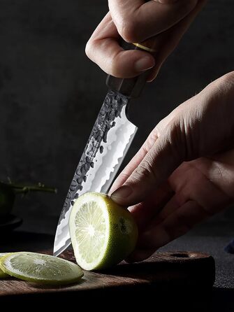 Ніж HOSHANHO Santoku Ніж ручного кування, ніж Сантоку Гостре лезо 18 см Кухонний ніж з японської серцевини VG10 Ніж для кухарів з ергономічною ручкою Подарункова коробка (ніж для чищення 9,5 см)