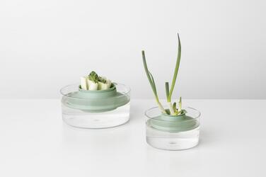 Колекція Tasty Colours Plus от Brabantia