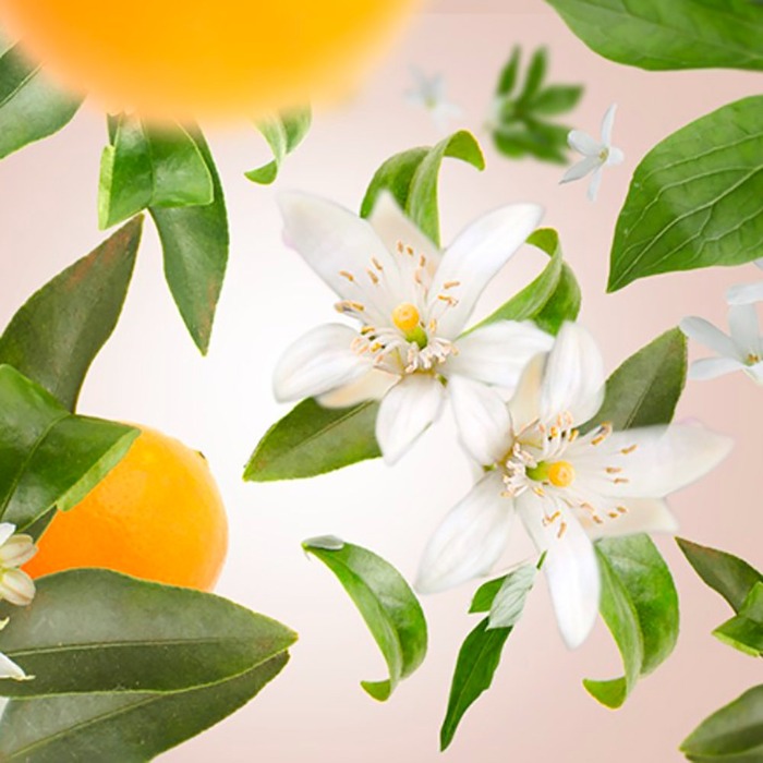 Дифузор Maison Berger Paris ICE CUBE з ароматом ORANGE BLOSSOM, 100 мл