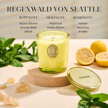 Ароматна свічка M&SENSE Forest Cabin, Ароматизовані свічки у склянці, Натуральна соєва свічка, Час горіння 55 годин, Подарункові свічки для жінок та чоловіків, Подарункова свічка (Сіетлський тропічний ліс, 260 г)