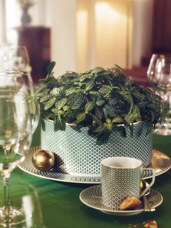 Салатниця 23 см Francis Carreau Vert Rosenthal