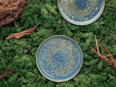 Серія Юкі, (обідня тарілка 4 шт.), 21509