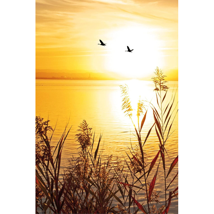 Скляна картина "Захід сонця на озері" 70 x 100 см Pixxprint