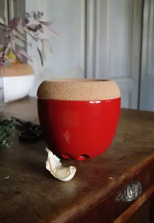 Ємність для зберігання часнику 14,6 см 348763