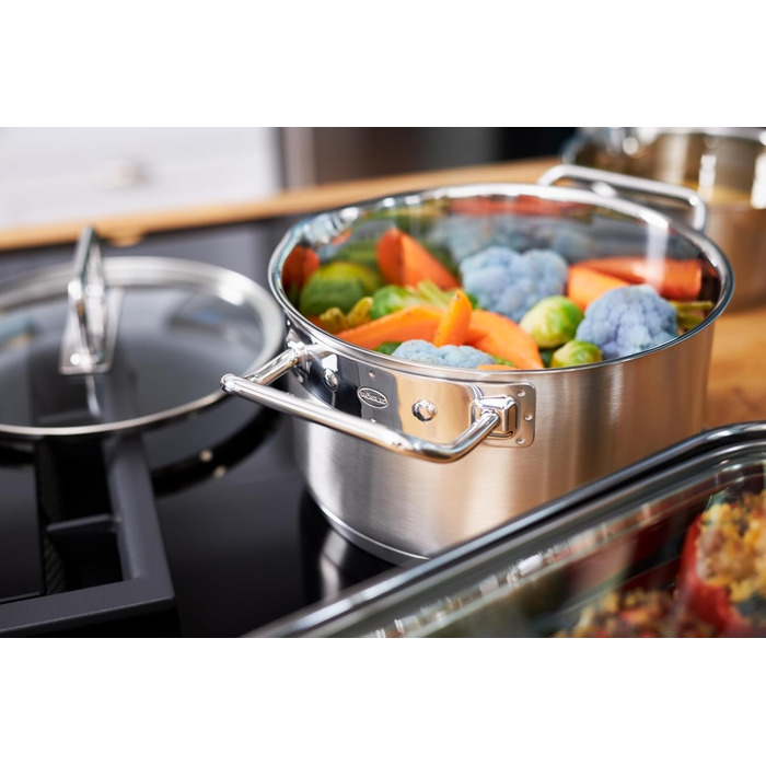 Форма для запікання RSLE EXPERTISO, універсальна ємність для приготування їжі з нержавіючої сталі 18/10, скляна кришка, внутрішня вага, підходить для індукційних плит, можна мити в посудомийній машині, срібляста (24 см, форма для запікання)