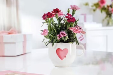 Колекція With Love