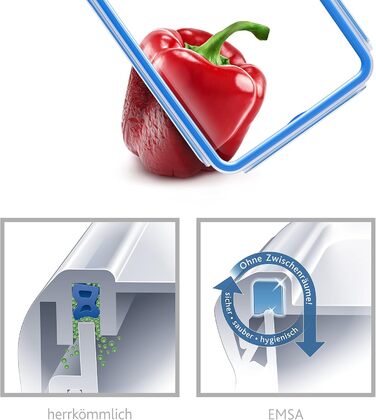 Набір контейнерів для зберігання харчових продуктів EMSA Clip & Close, прямокутні, 5 x 0,8 л, коробки для зберігання, 100 герметичні, придатні для миття в посудомийній машині, морозильної камери та мікрохвильової печі, прозорі, сині, зроблені в Німеччині,