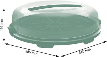 Контейнер для торта 35,5 x 34,5 x 11,6 см бірюзовий Rotho