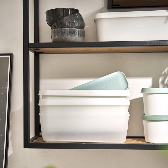 Набір із 2 контейнерів для морозива для морозива 1 л Springlane Kitchen