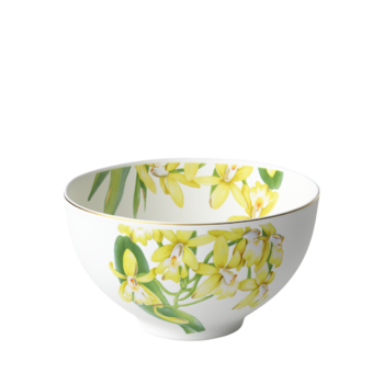 Пиала 500 мл Amazonia Villeroy & Boch