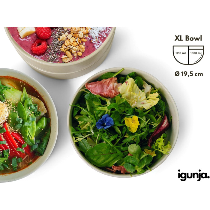 Набір керамічного посуду igunja, набір мисок та тарілок 12 предметів на 4 особи Високоякісний, 100 ручної роботи, набір посуду з реактивною глазур&39ю, матовий зовні, глянцевий всередині (бежевий, миски XL)