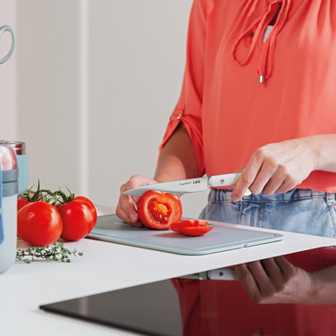 Ніж універсальний BergHOFF LEO SPIRIT, 12 см