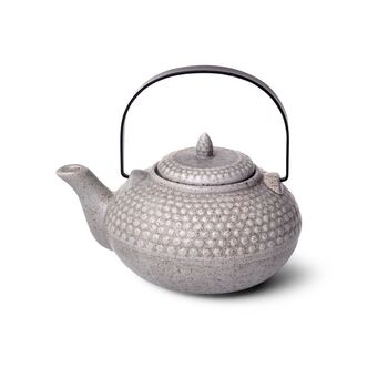 Заварювальний чайник Fissman 750 мл з ситечком та рукучкою (9349)