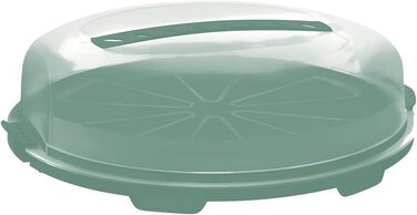 Контейнер для торта 35,5 x 34,5 x 11,6 см бірюзовий Rotho