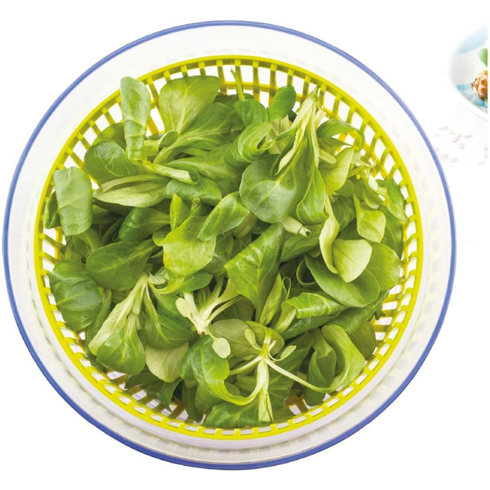 Сушарка для салату маленька 2,6 л з кришкою, Tavialo