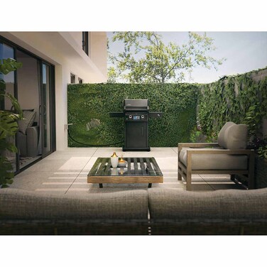 Електричний гриль Napoleon Rogue EQ 365 REQ365MK-CE Код: 013226