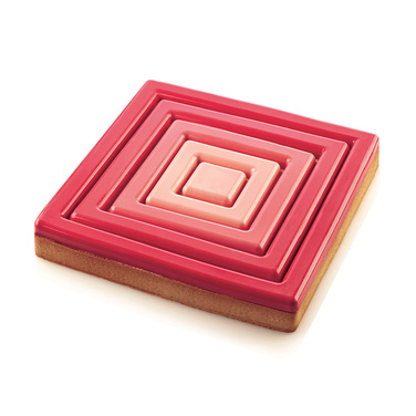 TARTE RING SQUARE 200X200 H20 MM Набор форм из пластика