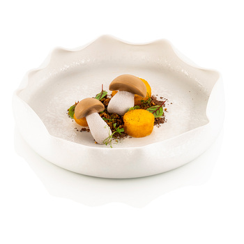 PORCINO Форма из резины