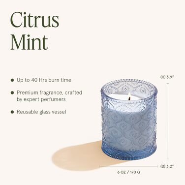 Ароматна свічка La Jole Muse у скляній свічці, подарунок для жінок, ароматичні свічки з сандаловим деревом для дому, час горіння 55 годин, 170 г. (Menta Al Limone)