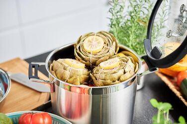 Набор кастрюль 9 предметов Silence Pro Rosle