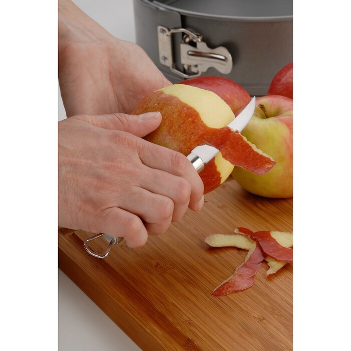 Ніж для карвінгу 6 см Profi Plus WMF