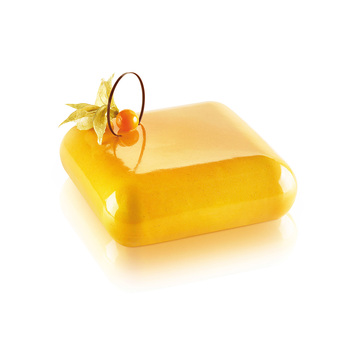 GEM 600 Форма из резины